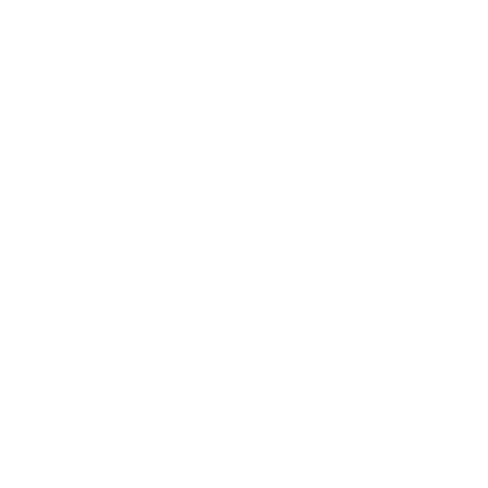 Snapbot